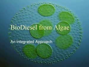 Bio Diesel from Algae An Integrated Approach Algae