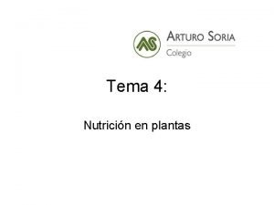 Tema 4 Nutricin en plantas 1 NUTRICIN NECESIDADES