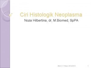 Ciri Histologik Neoplasma Noza Hilbertina dr M Biomed