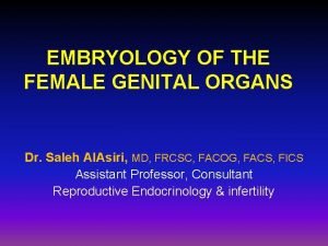 EMBRYOLOGY OF THE FEMALE GENITAL ORGANS Dr Saleh