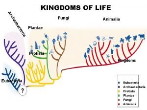 KINGDOMS OF LIFEre Cladogram of Six Kingdoms and
