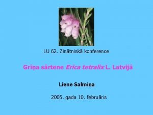 LU 62 Zintnisk konference Gra srtene Erica tetralix