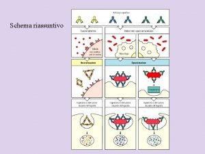 Schema riassuntivo Le immunodeficienze patologie della maturazione e