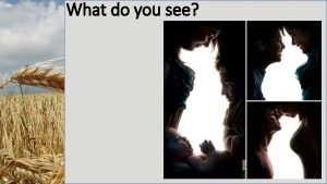 What do you see What do you see