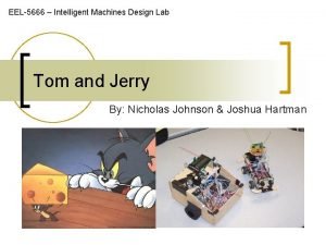 Tom and jerry lab