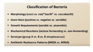 Spirochetes classification