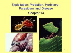 Exploitation Predation Herbivory Parasitism and Disease Chapter 14