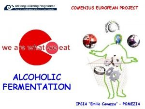 COMENIUS EUROPEAN PROJECT ALCOHOLIC FERMENTATION IPSIA Emilio Cavazza