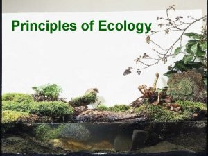 Ernst haeckel ecology Ernst haeckel ecology