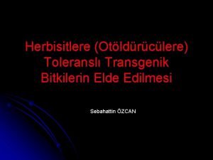 Herbisitlere Otldrclere Toleransl Transgenik Bitkilerin Elde Edilmesi Sebahattin