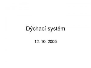 Dchac systm 12 10 2005 Funkce respiranho systmu