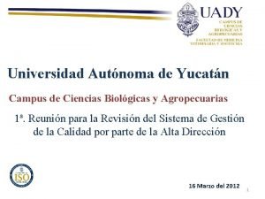 Universidad Autnoma de Yucatn Campus de Ciencias Biolgicas