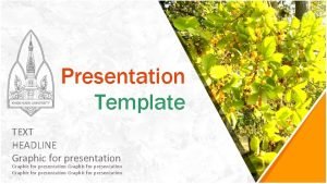 Presentation Template TEXT HEADLINE Graphic for presentation Graphic