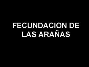 FECUNDACION DE LAS ARAAS Cuando las araas hembras