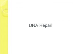DNA Repair DNA repair refers to a collection