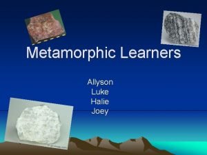 Metamorphic Learners Allyson Luke Halie Joey How is