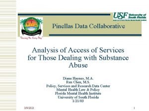 Pinellas Data Collaborative Analysis of Access of Services