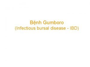 Bnh Gumboro Infectious bursal disease IBD Gii thiu