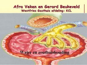 Water en zouthuishouding Hart nieren en de elektrolyten