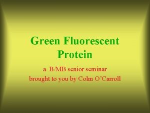 Green Fluorescent Protein a BMB senior seminar brought