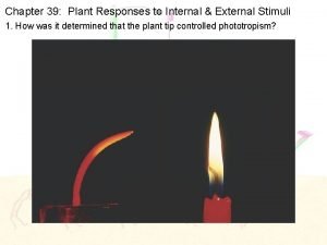 Chapter 39 Plant Responses to Internal External Stimuli