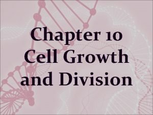 Chapter 10 Cell Growth and Division Limits to