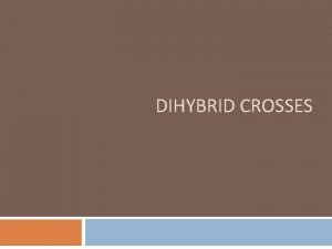 Dihybrid cross using foil method