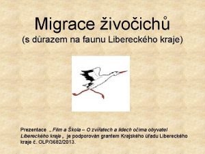 Migrace ivoich s drazem na faunu Libereckho kraje