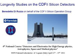 Longevity Studies on the CDFII Silicon Detectors Benedetto