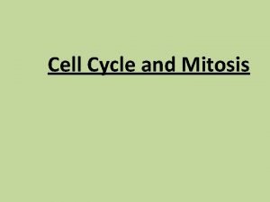 Mitosis essential questions
