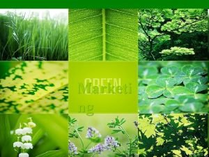 Evolution of green marketing