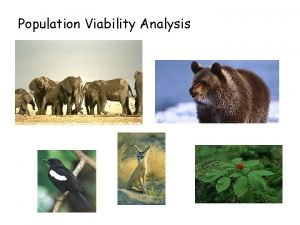 Population Viability Analysis IUCN RED LIST Criterion Critically