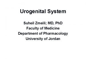 Urogenital System Suheil Zmeili MD Ph D Faculty