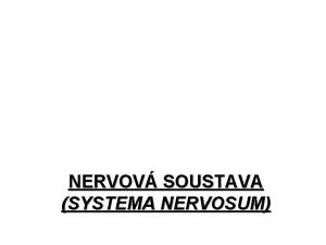 NERVOV SOUSTAVA SYSTEMA NERVOSUM FUNKCE NERVOV SOUSTAVY dc