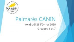Palmars CANIN Vendredi 28 Fvrier 2020 Groupes 4