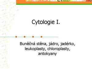 Cytologie I Bunn stna jdro jadrko leukoplasty chloroplasty