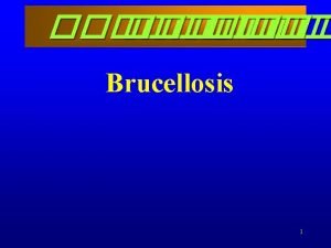 Brucellosis 1 ZOONOSIS A disease primarily of animals