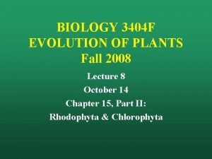 BIOLOGY 3404 F EVOLUTION OF PLANTS Fall 2008