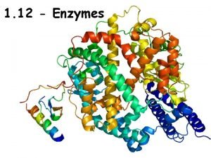 1 12 Enzymes 1 12 Enzymes Activation Energy