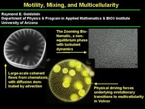 Motility Mixing and Multicellularity Raymond E Goldstein Department