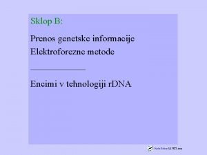 Sklop B Prenos genetske informacije Elektroforezne metode Encimi