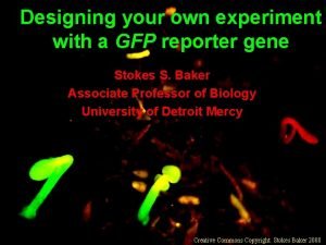 Designing your own experiment with a GFP reporter