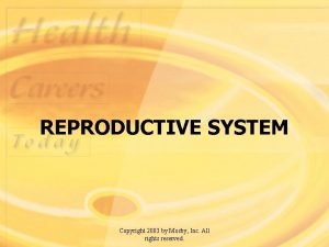 REPRODUCTIVE SYSTEM Copyright 2003 by Mosby Inc All