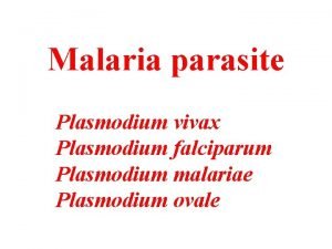 Malaria parasite Plasmodium vivax Plasmodium falciparum Plasmodium malariae