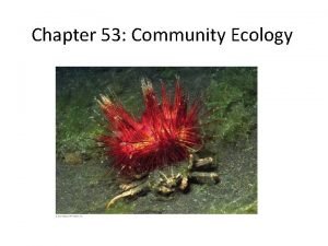 Chapter 53 Community Ecology Community group of populations