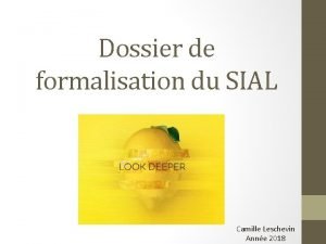 Dossier de formalisation du SIAL Camille Leschevin Anne