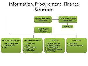 Information Procurement Finance Structure Director of Finance Information