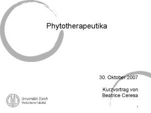 Phytotherapeutika 30 Oktober 2007 Kurzvortrag von Beatrice Ceresa