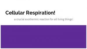Cellular respiration endothermic or exothermic