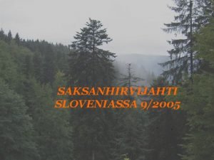 SAKSANHIRVIJAHTI SLOVENIASSA 92005 MATKALLA MUKANA Matkanjohtaja Pekka Karhuherra